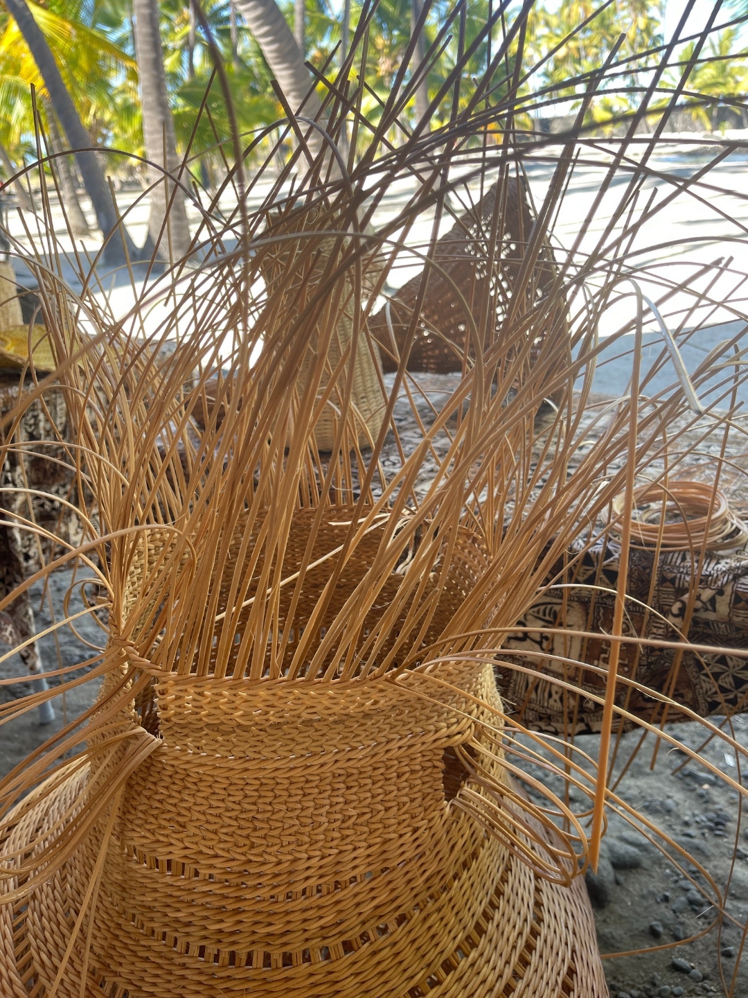 A hand-woven ʻie basket in progress, with long blonde ʻieʻie aerial roots spraying up from the rim against palms at Puʻuhonua.